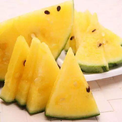 吃瓜怎么开始收藏,揭秘收藏爱好者的成长之路