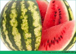 吃瓜每天都有瓜吃,跟随“吃瓜每天都有瓜吃”探索娱乐圈新鲜事