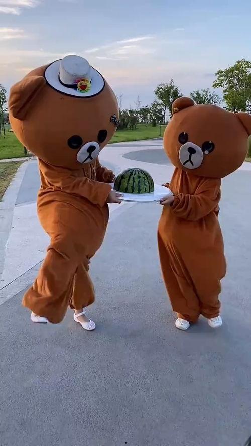 吃瓜小熊壁纸图片,壁纸中的夏日清凉时光