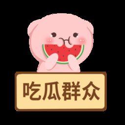 吃瓜视频小群众下载,小众下载背后的故事