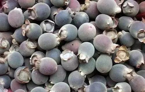 吃瓜甲乙丙丁,揭秘娱乐圈背后的故事