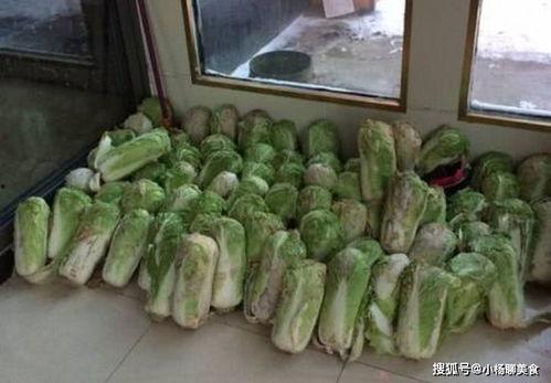 藁城北国吃瓜,探寻瓜果飘香的美食天堂